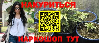 ПСИЛОЦИБИНОВЫЕ ГРИБЫ Будённовск