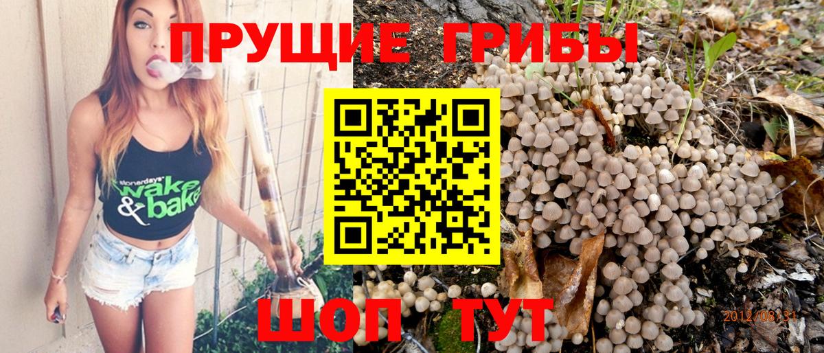 Канаш  Псилоцибиновые грибы ЛСД  где можно купить   Вход с VPN 