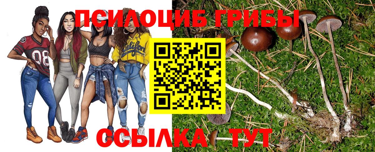 Псилоцибиновые грибы мухоморы Канаш